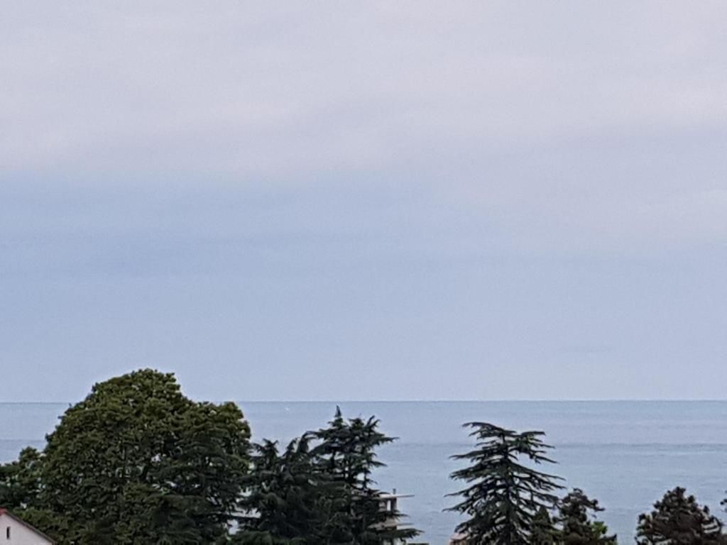Гостевой дом HOTEL PERLA DE MAR Махинджаури-53